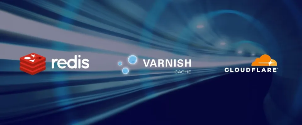 Should I choose Redis or Varnish Cache?