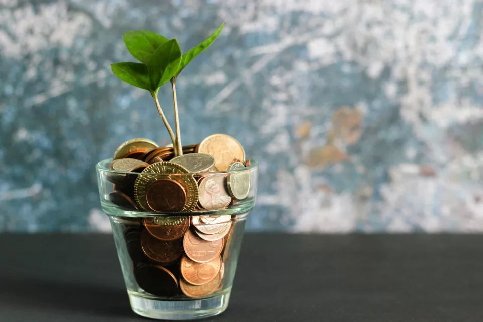 Glass jar filled with coins and a small green plant growing from it