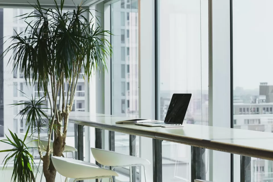 Bright, well-organised office space with plants and desks
