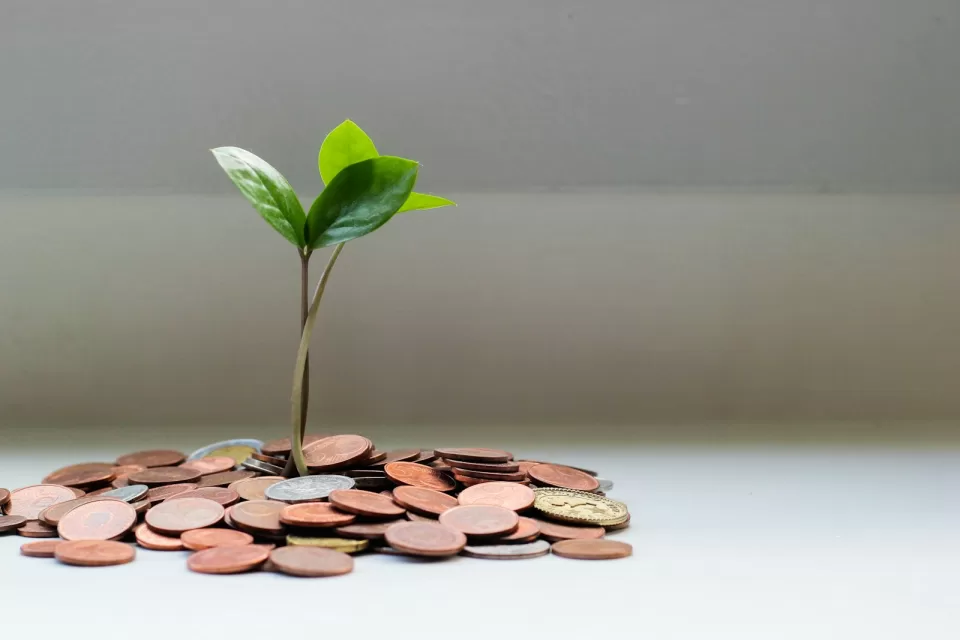 Small plant growing from a stack of coins
