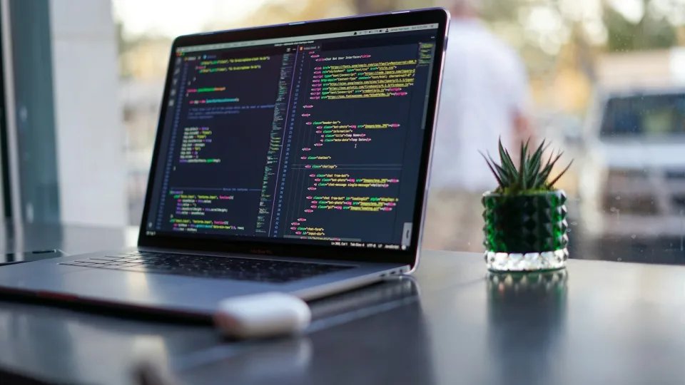 Code editor on a laptop beside a plant